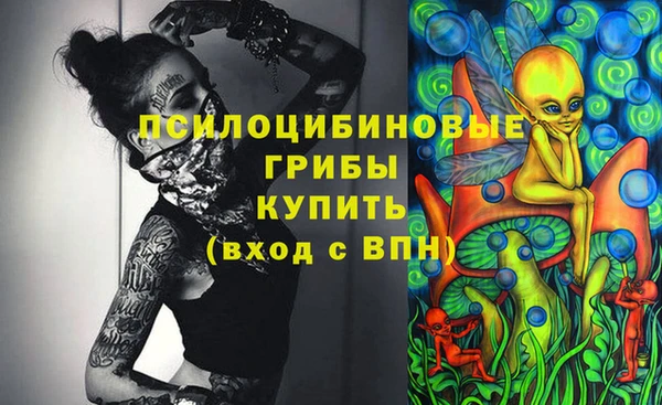 2c-b Надым