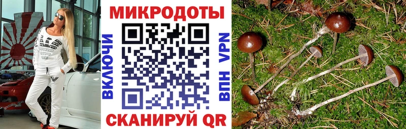 kraken tor Усть-Катав Галлюциногенные грибы мухоморы